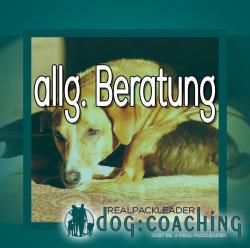allgemeine Beratung