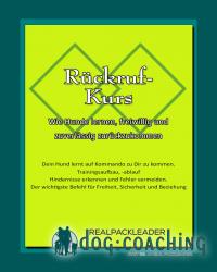 Rückruf-Kurs
