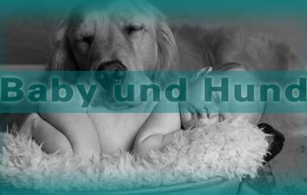 das Baby kommt - was ist mit dem Hund?