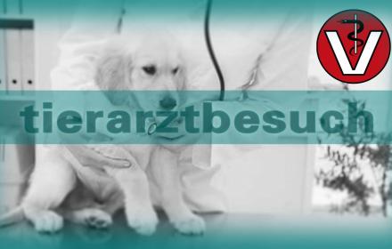 Besuch beim Tierarzt