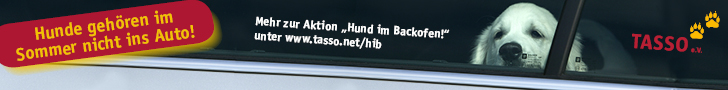 Tasso 