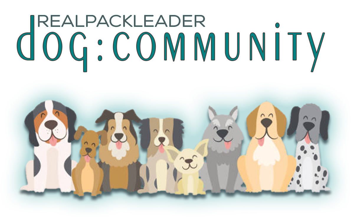 dog:community