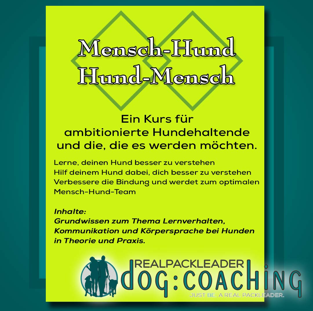 Basiskurs Mensch-Hund, Hund-Mensch