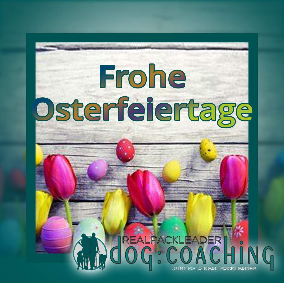 frohe Ostern