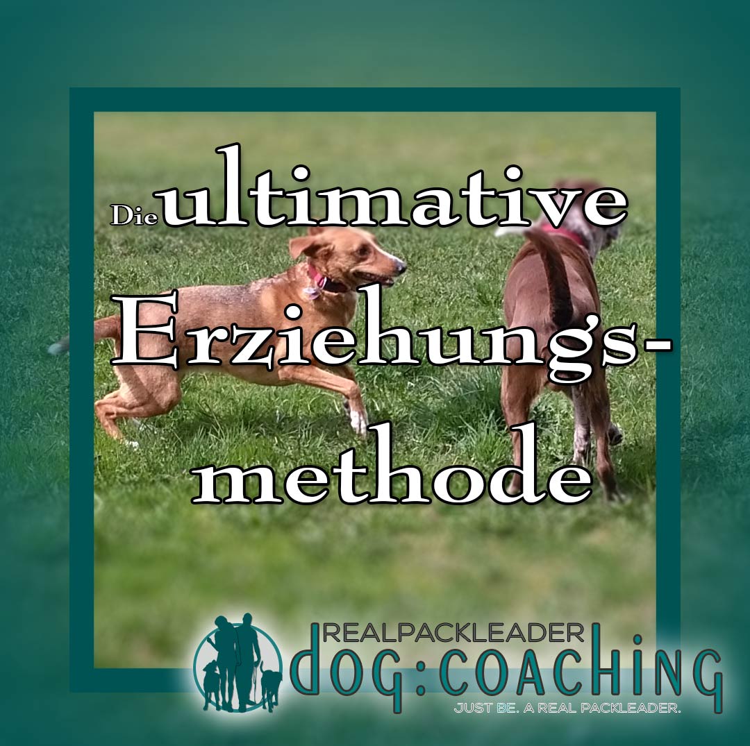 die ultimative Erziehungsmethode - die ultimative Trainingsmethode