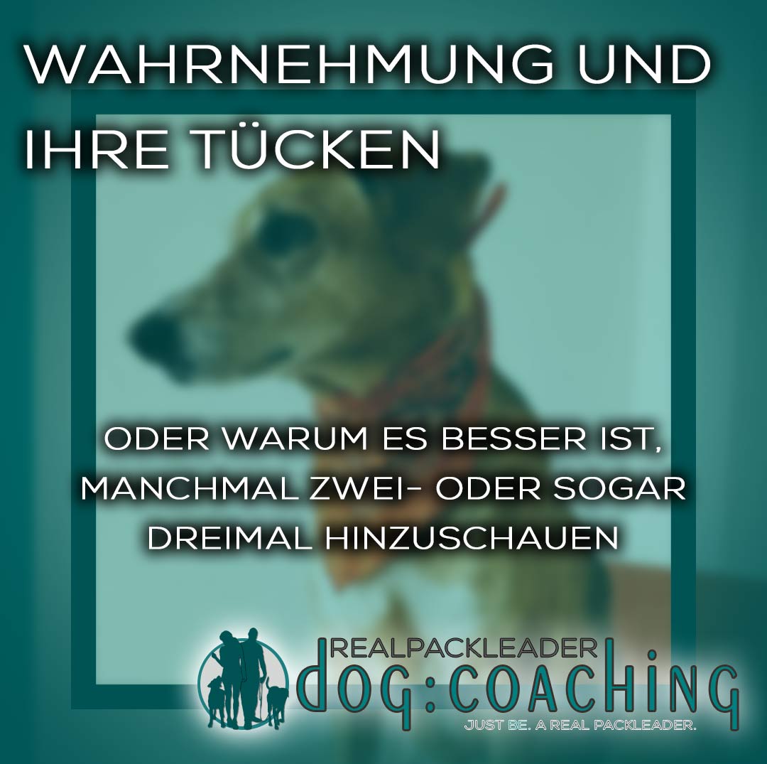 wahrnehmung und ihre tücken