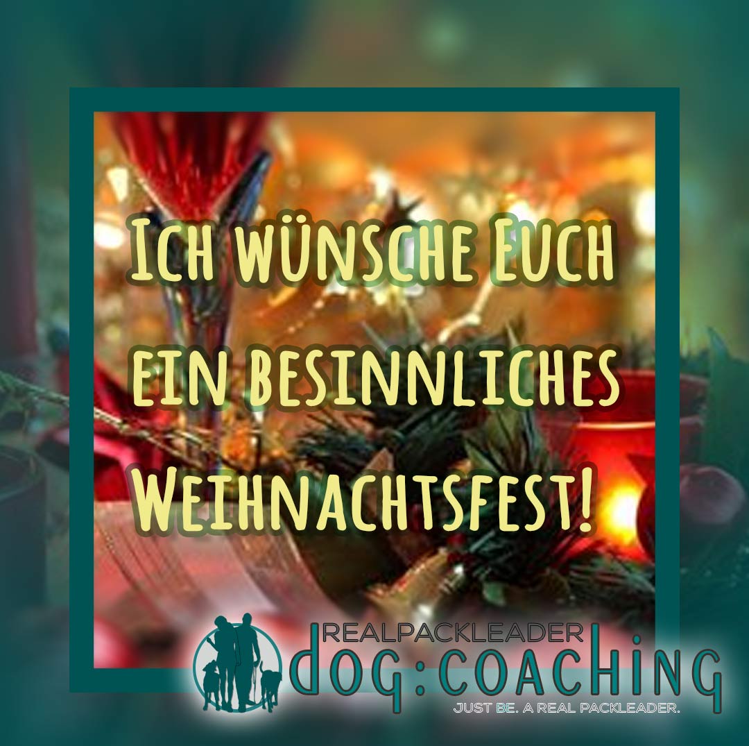 frohes Weihnachtsfest 2023