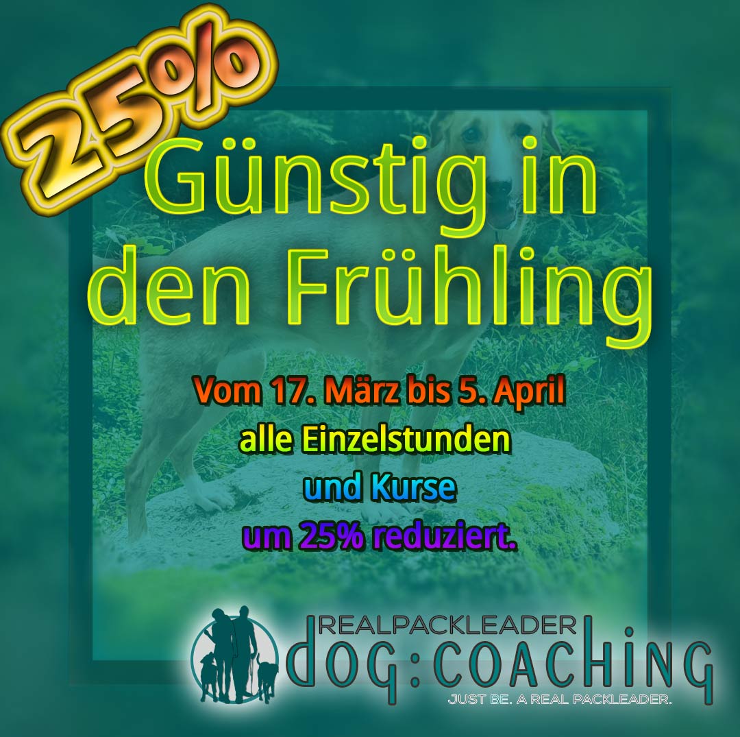 Frühlingsrabatt 25%