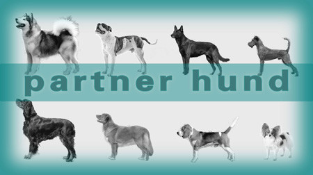 003partnerhund