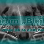 Bleib! Oder nicht Bleib!?