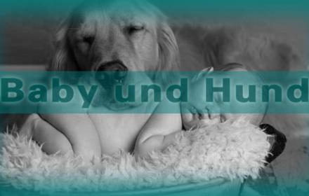 vom Umgang mit Hund und Baby