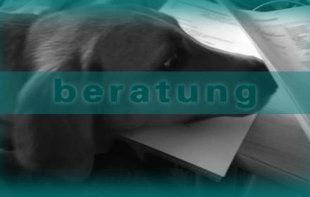 individuelle Probleme + Lösungen