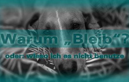 Das ist hier die Frage