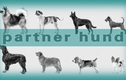 der passende Hund für Sie