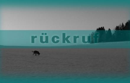 der Rückruf und seine Tücken
